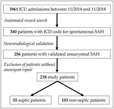 Sepsis and delayed cerebral ischemia are associated and have a cumulative effect on poor functional outcome in aneurysmal subarachnoid hemorrhage